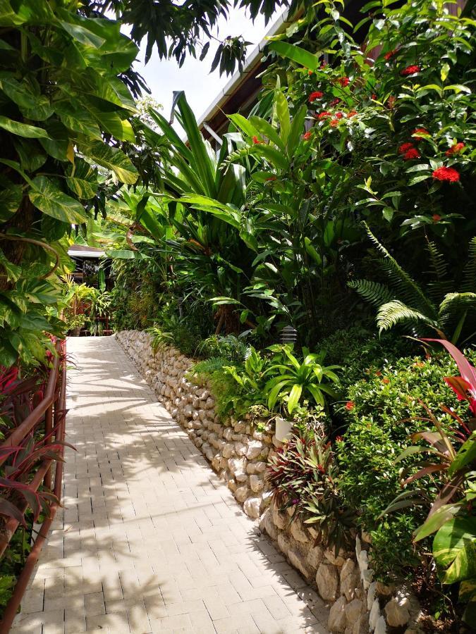 Hotel Belvedere Playa Samara Costa Rica Extérieur photo