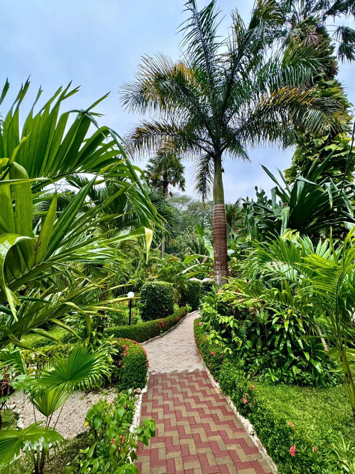 Hotel Belvedere Playa Samara Costa Rica Extérieur photo
